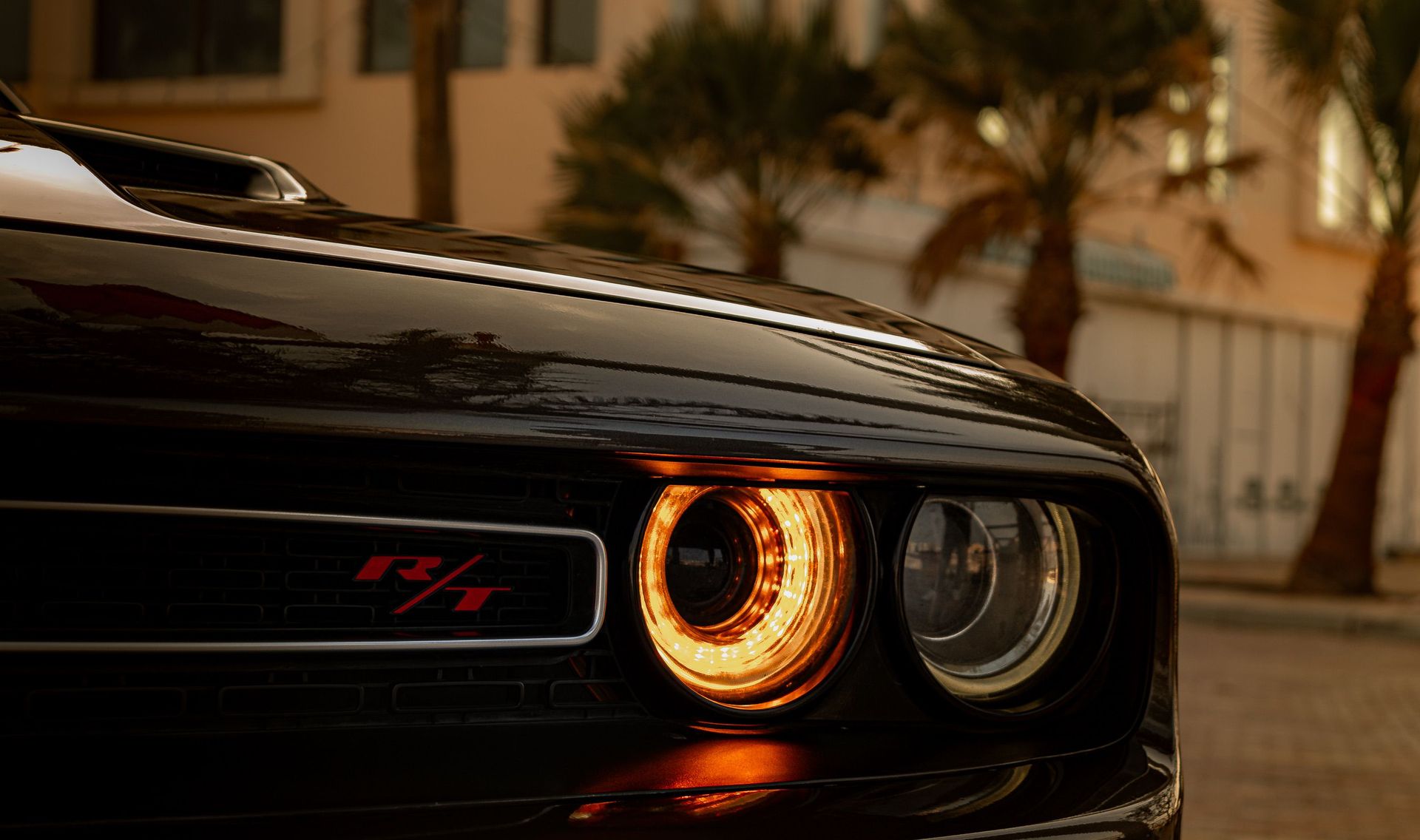 Close-up of a black muscle car headlight glowing at dusk with palm trees in the background.